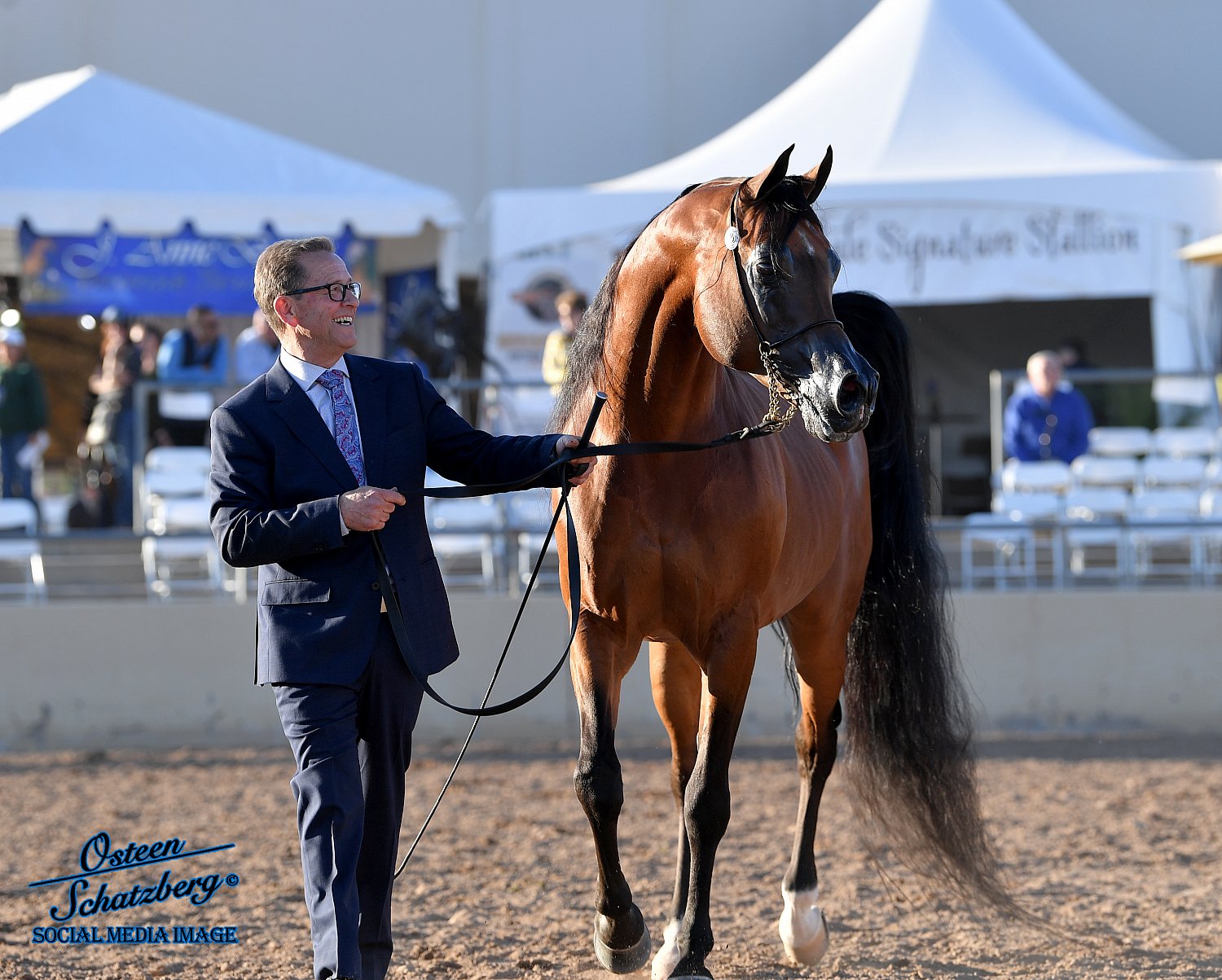 2020 Scottsdale Arabian Shows Scottsdale Arabian Horse Show www